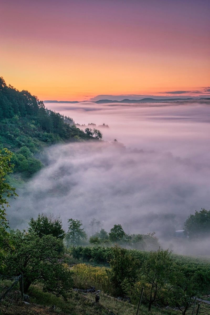 Mystical Fairytale
